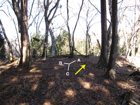 20190121hike (120)